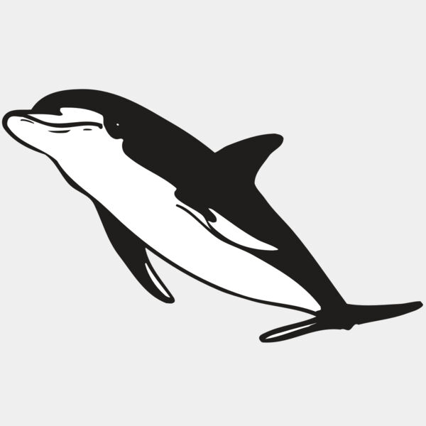 AR DOLPIN 13 RC Thumbnail