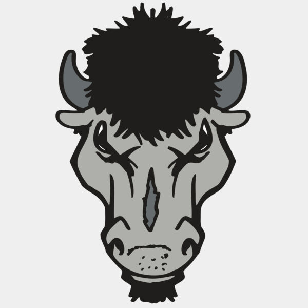 AR BUFFALO 15 RC Thumbnail