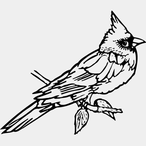 BIRD009 Thumbnail