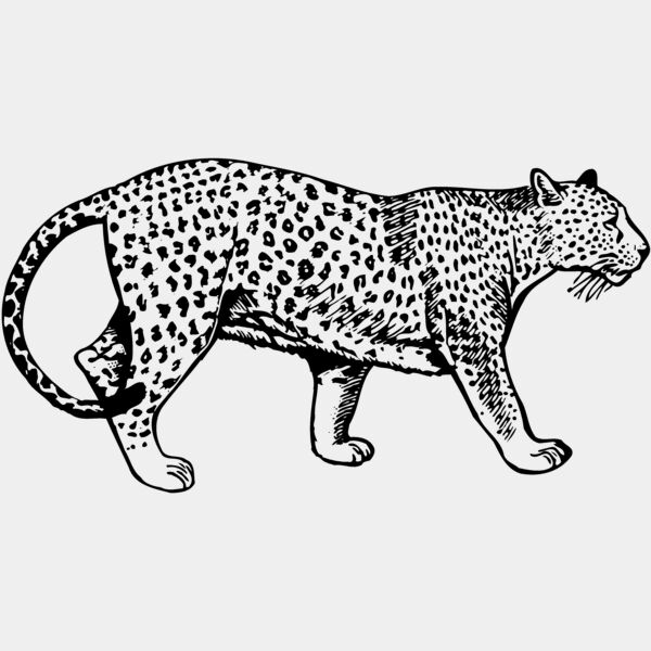 LEOPARD1 Thumbnail