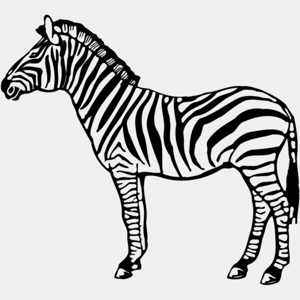 ZEBRA004 Thumbnail