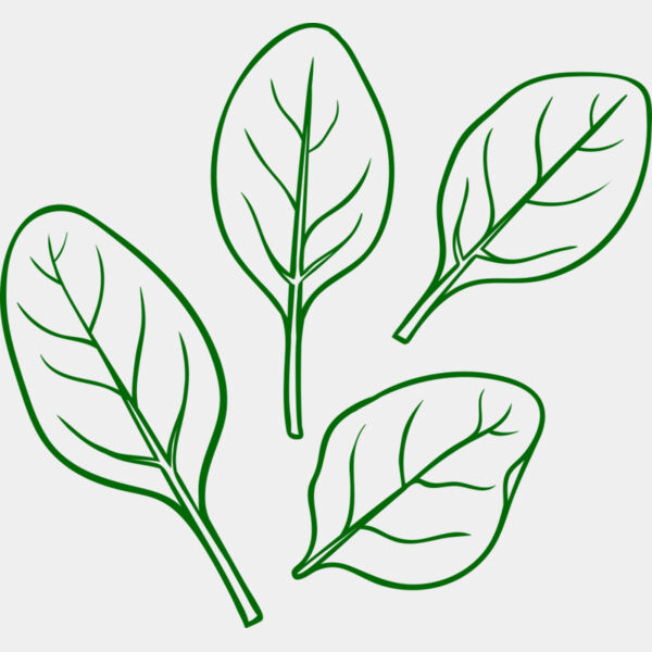 Spinach Thumbnail